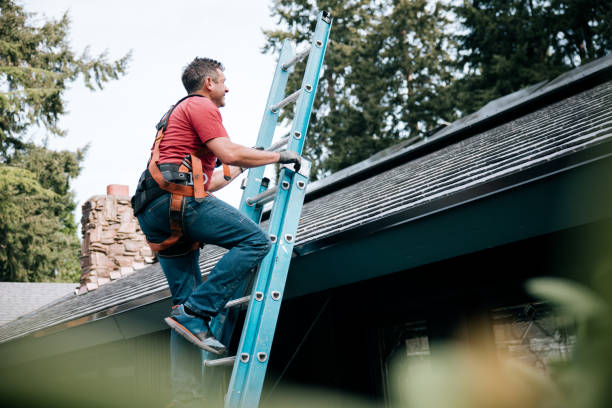 Best Asphalt Shingle Roofing  in Edgewater, NJ